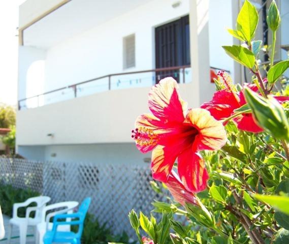 Evi Apartments And Studios Theologos  Exterior photo