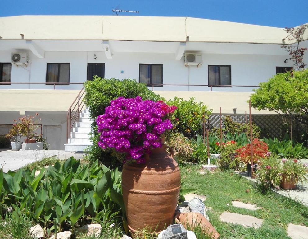 Evi Apartments And Studios Theologos  Room photo
