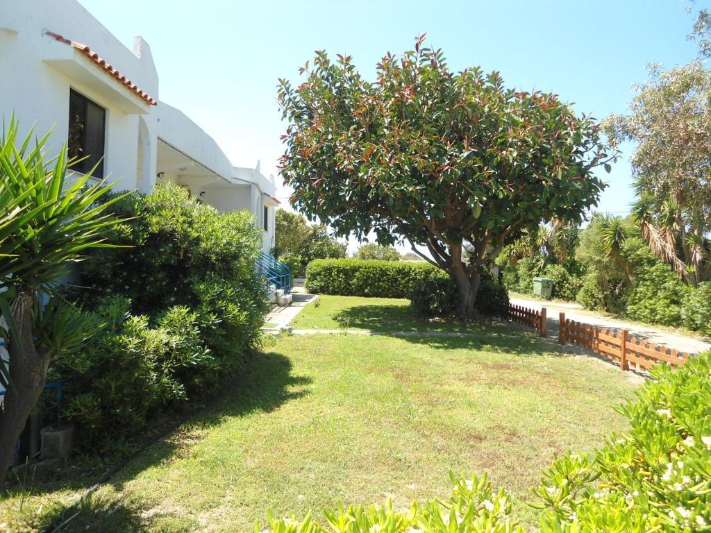 Evi Apartments And Studios Theologos  Room photo