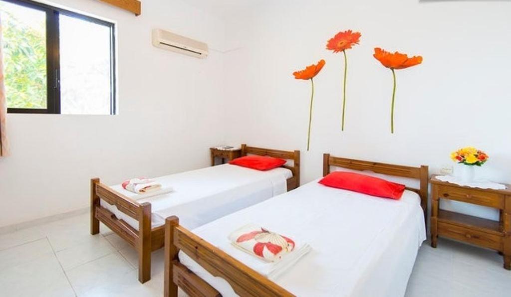 Evi Apartments And Studios Theologos  Room photo